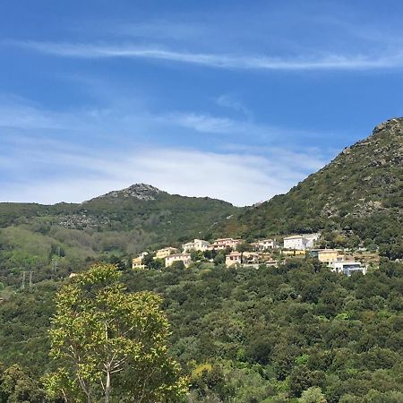 Charmant T2 Hauteurs De Bastia Bastiya Dış mekan fotoğraf