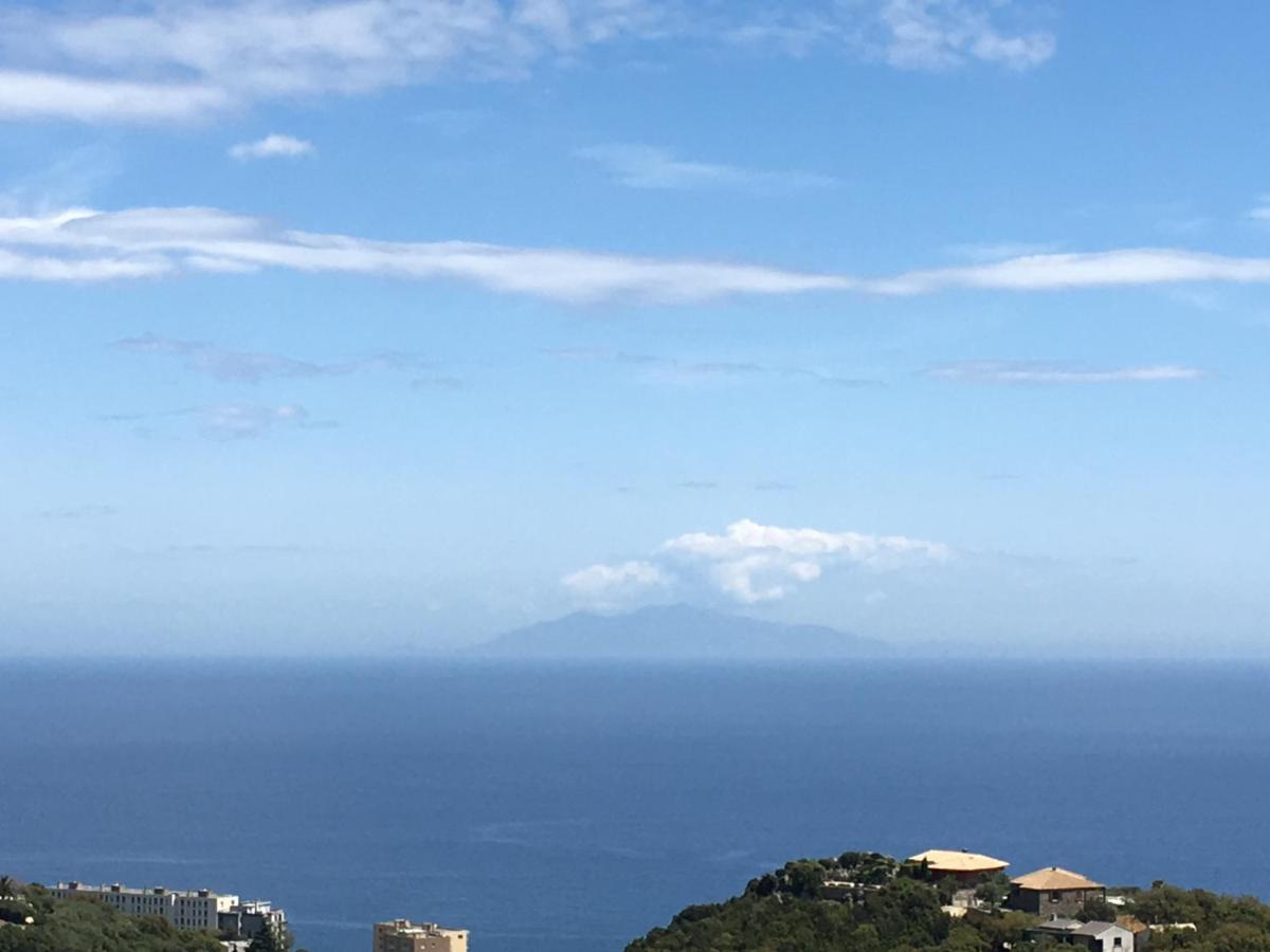 Charmant T2 Hauteurs De Bastia Bastiya Dış mekan fotoğraf